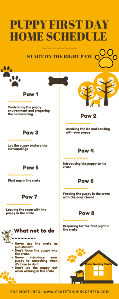 Crate training first night schedule 