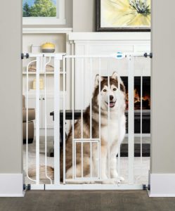 Crating dog while at work using pet-gate