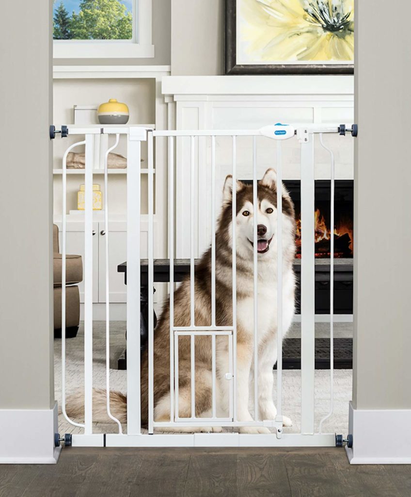 Flexible Dog Crating Solutions photo