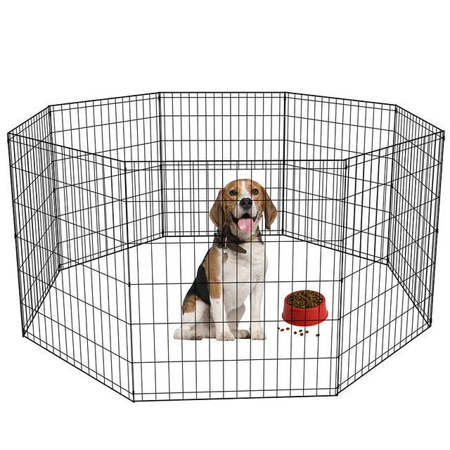 when to stop crate training