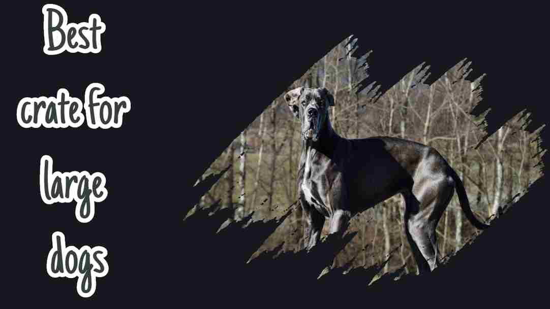 Best crate for large dogs: our top picks for 2020 1 Best crate for large dogs: our top picks for 2020