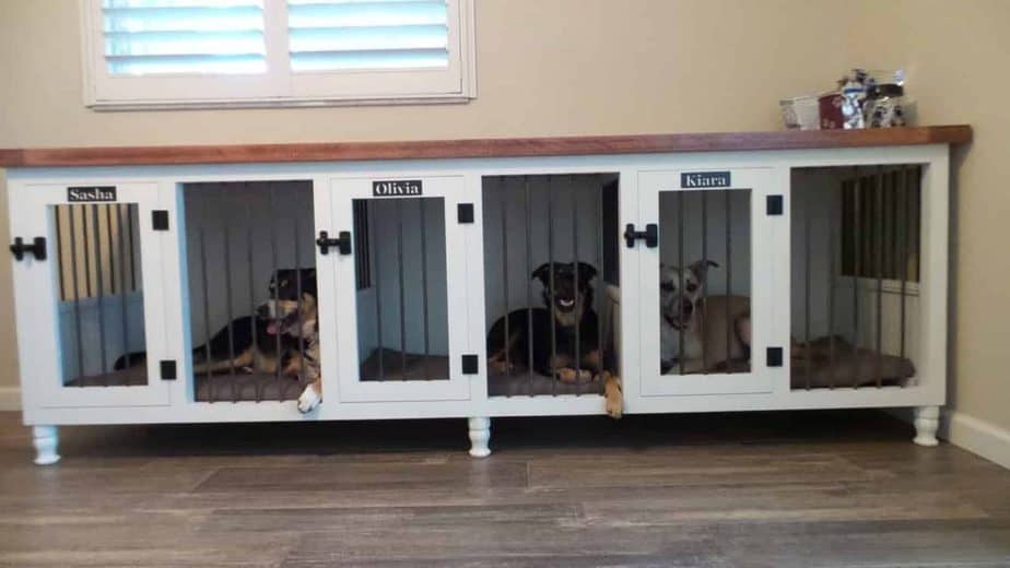 Crate training multiple puppies at once