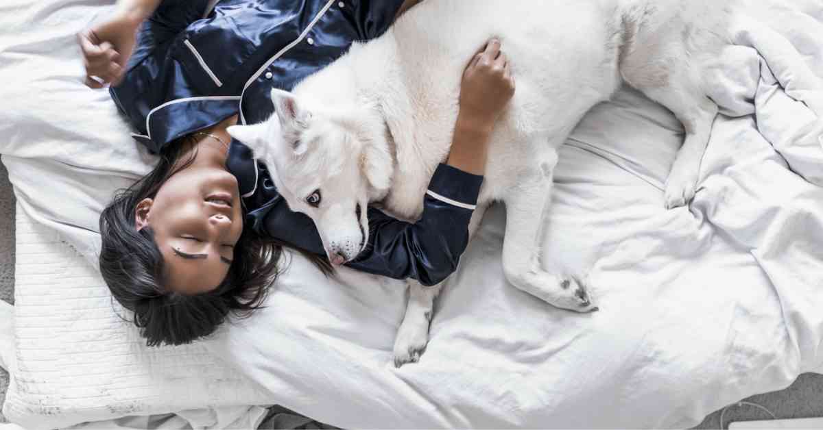 Why does my dog want to sleep with me all of a sudden? crate training